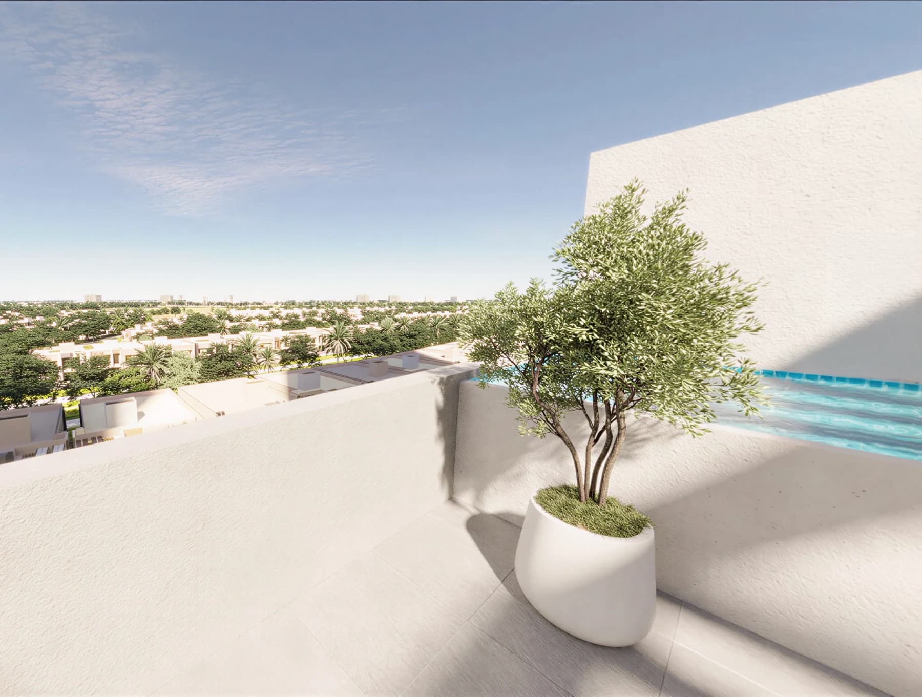 Wadi Zaha - View 15